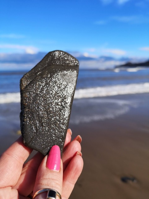 Shale on Runswick Beach