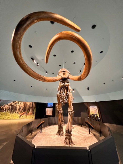 A Columbian mammoth at La Brea